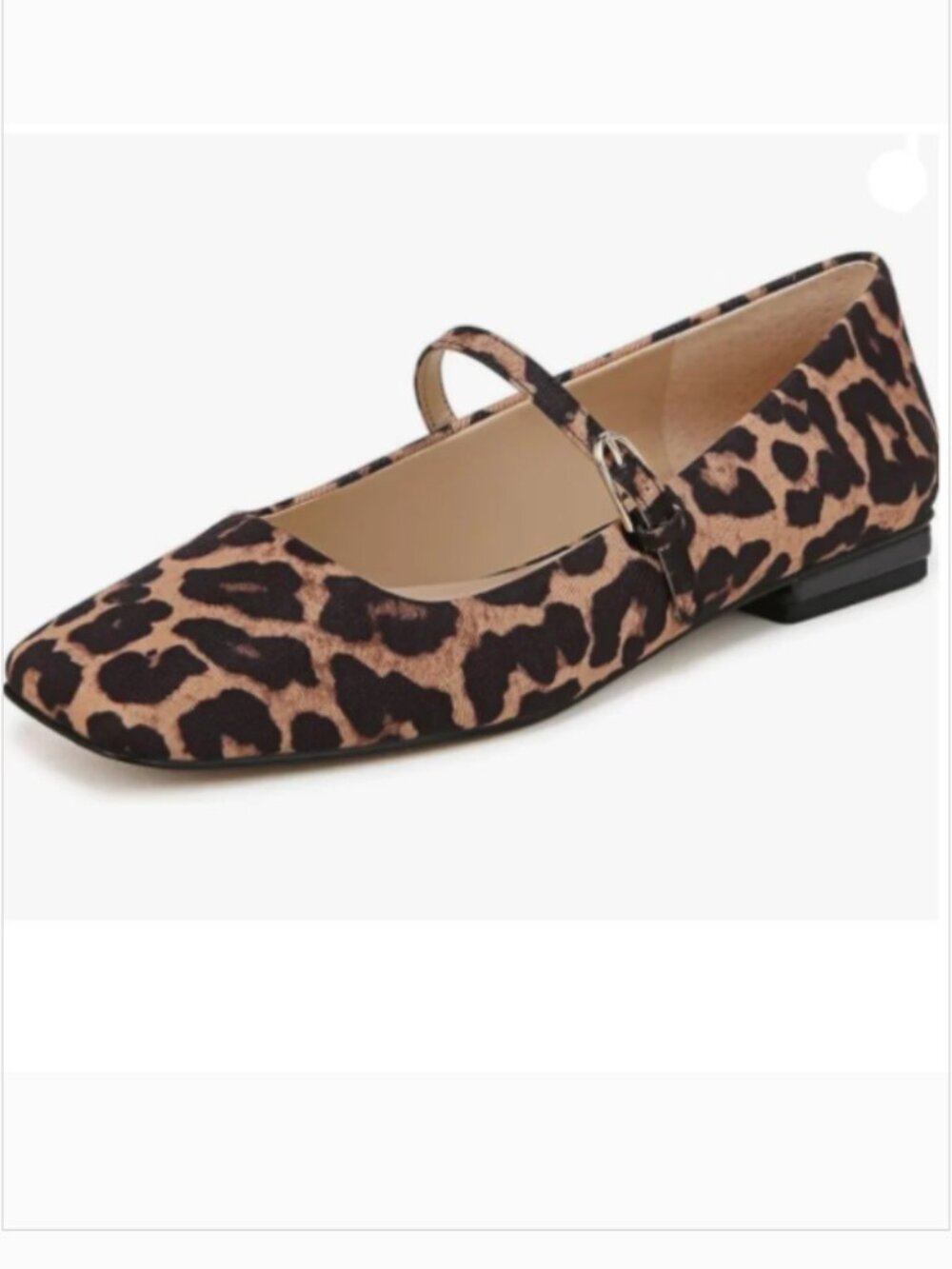 Milooey shoes Leopard Square Toe Mary Jane Chunky Low Heels Buckled Shoe